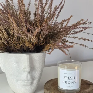 Fresh Peony - zdjecie